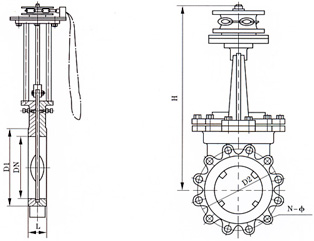 z45-1.jpg