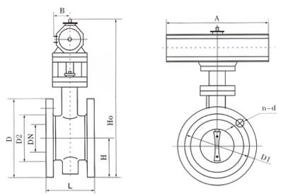 qiufa-22-b.jpg